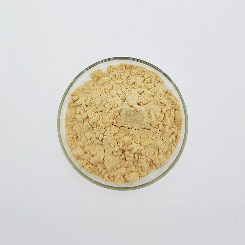 聚天門冬氨酸遠(yuǎn)聯(lián)化工粉體圖片