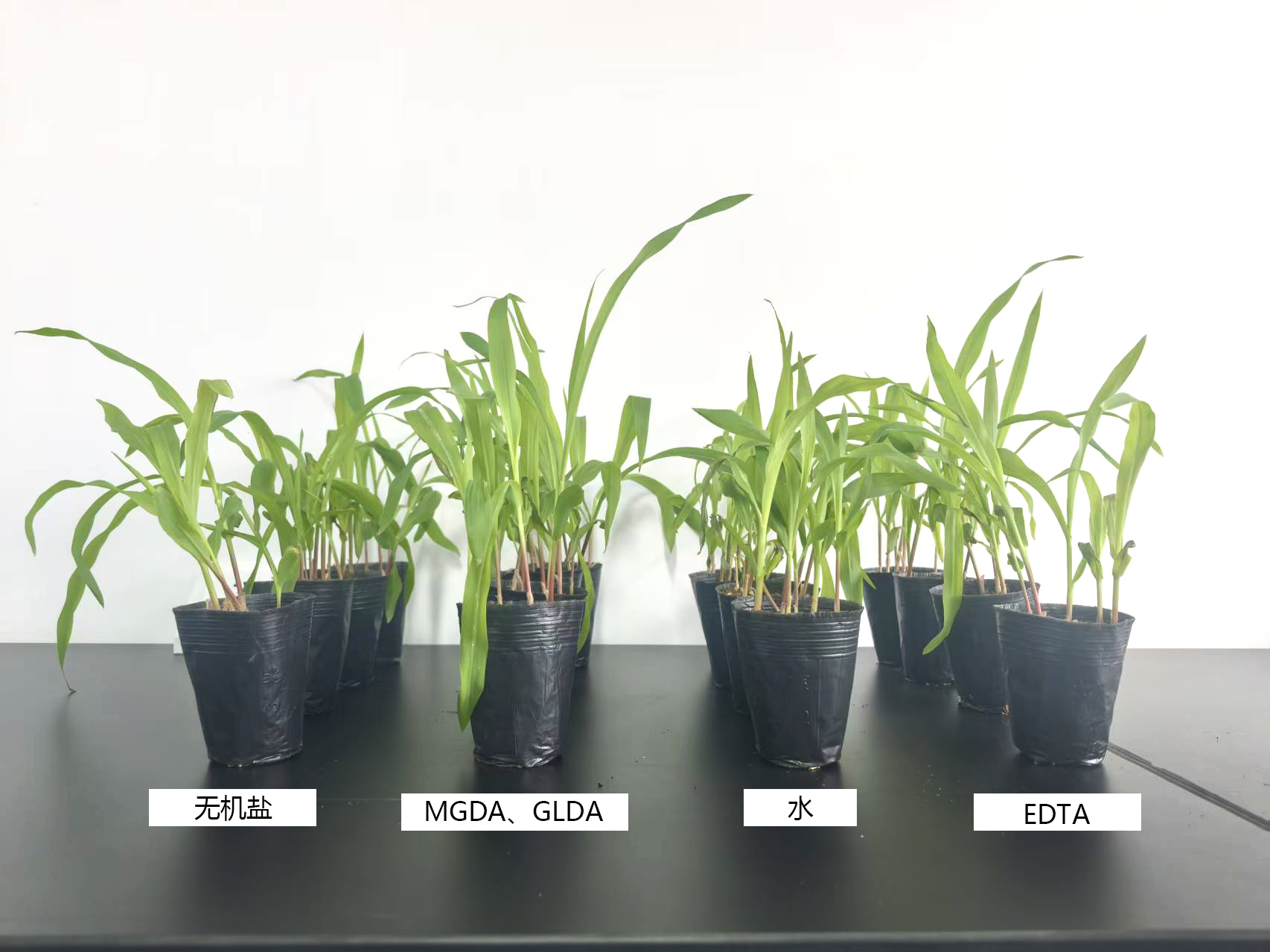 glda和mgda對于植物長勢與其它對比